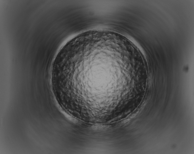 X0000089761437200707121353