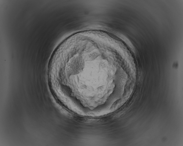 X0000089761439200707121353