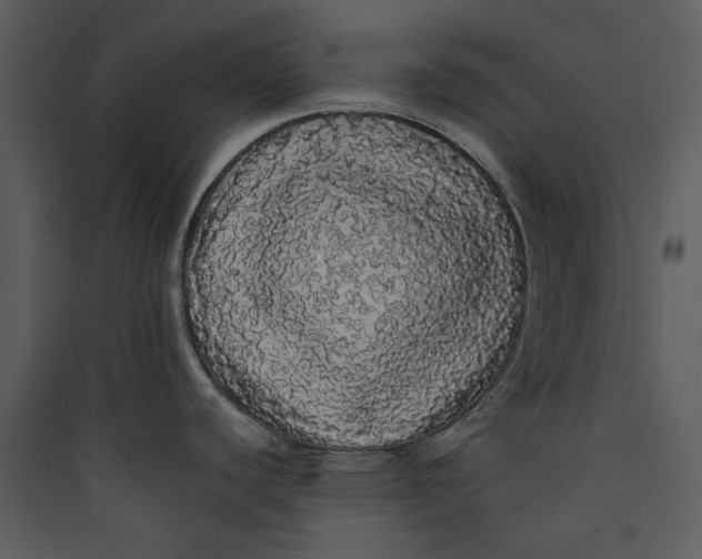 X0000089761440200707121353