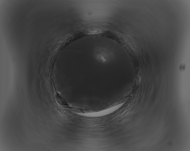 X0000089761441200707121352