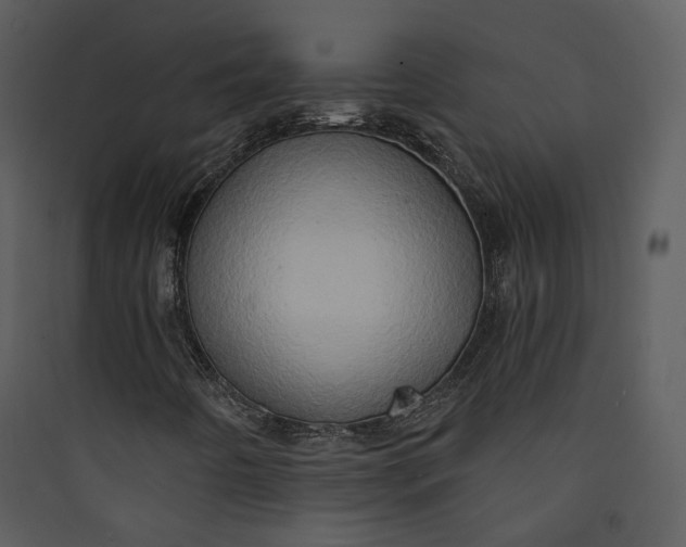 X0000089761442200707121352