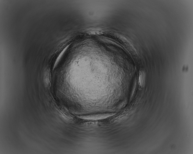 X0000089761444200707121352