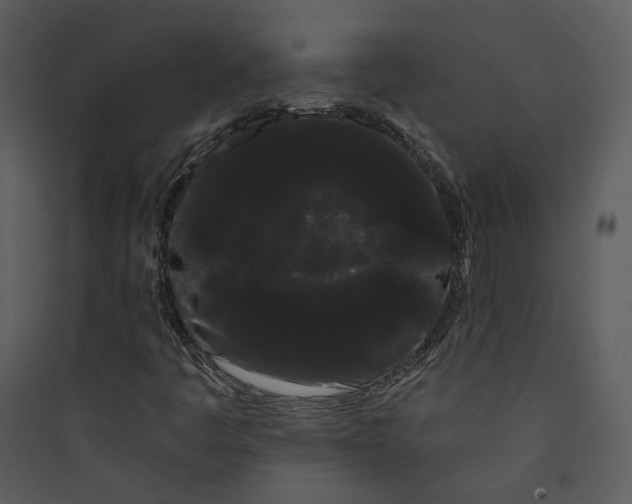 X0000089761445200707121352