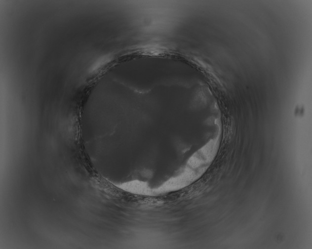 X0000089761446200707121352