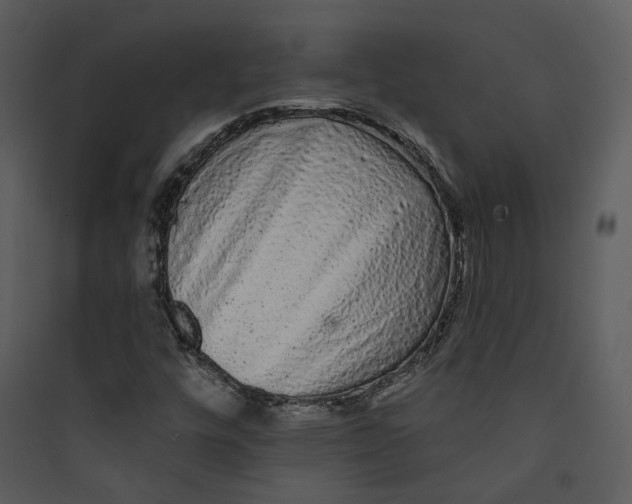 X0000089761448200707121352