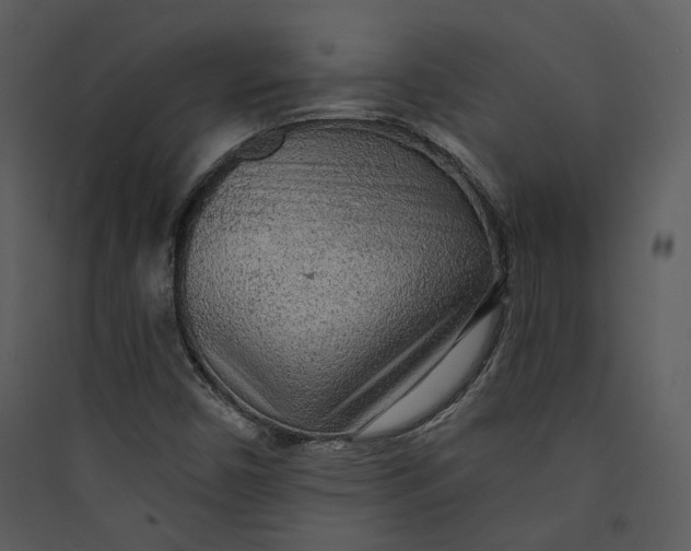 X0000089761450200707121352