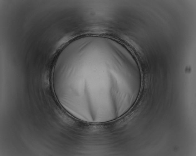 X0000089761451200707121352