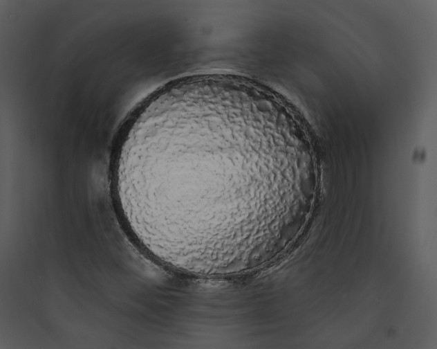 X0000089761452200707121352