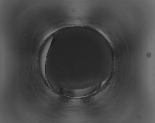 X0000089761453200707121352