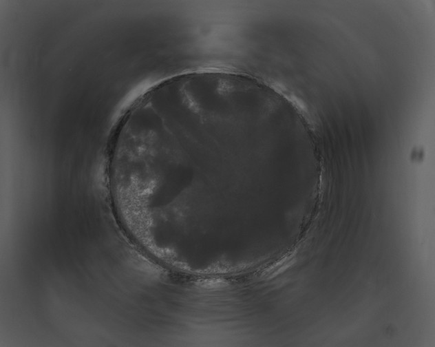 X0000089761454200707121352