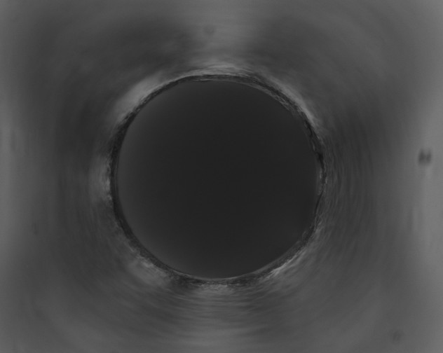 X0000089761455200707121352