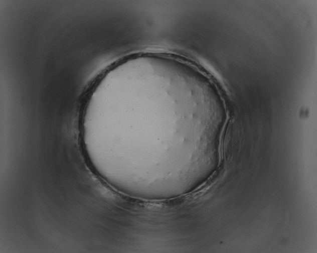 X0000089761456200707121352