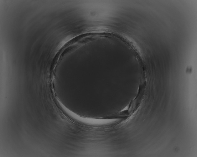 X0000089761457200707121352