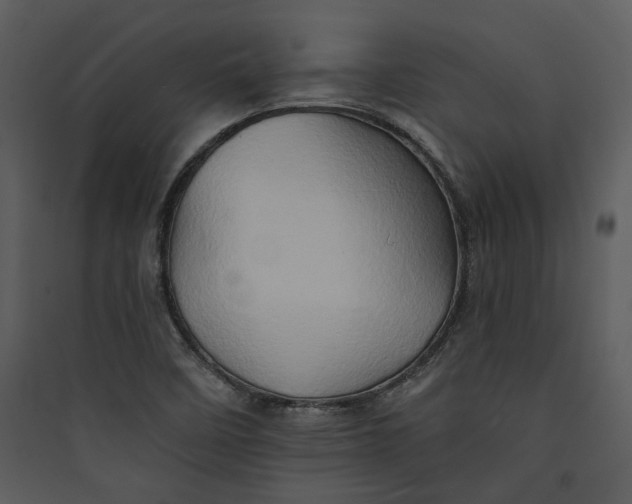 X0000089761458200707121352