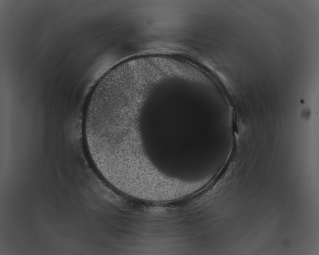 X0000089761459200707121352