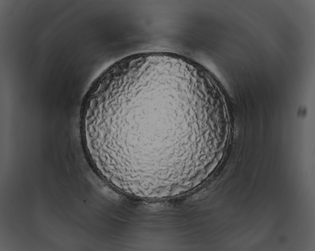 X0000089761460200707121352