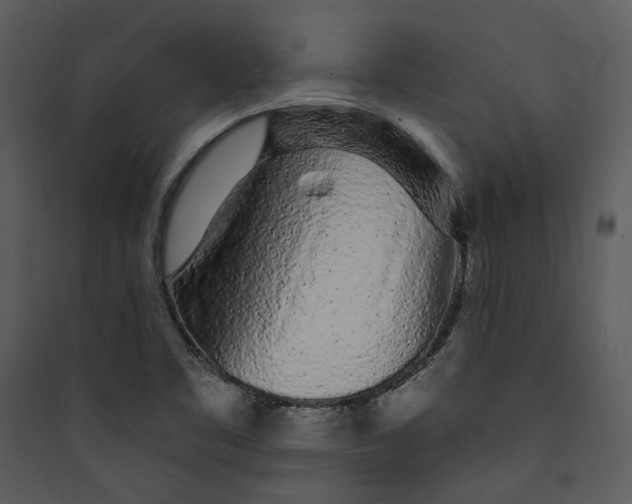 X0000089761461200707121352