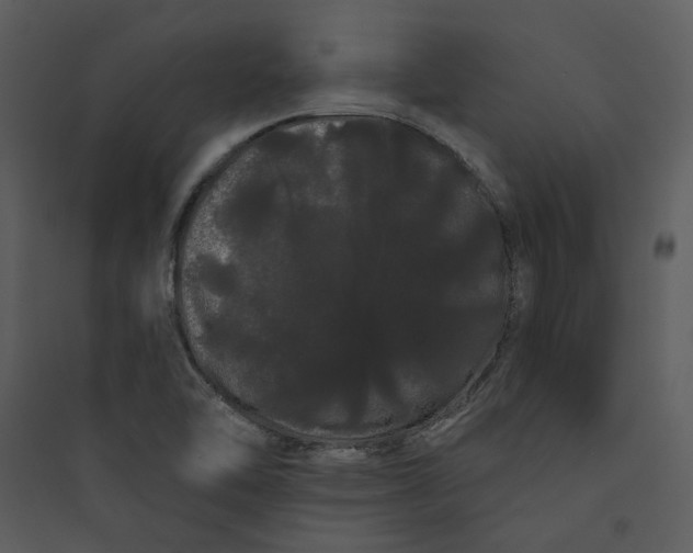 X0000089761462200707121352