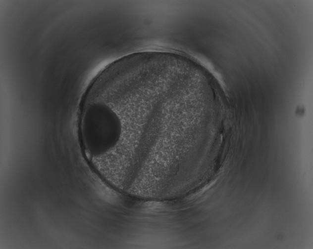 X0000089761463200707121352