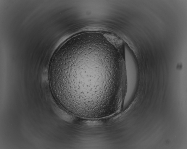 X0000089761465200707121352