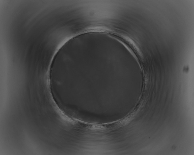 X0000089761466200707121352