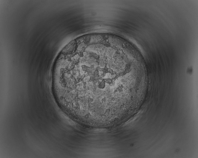 X0000089761467200707121352