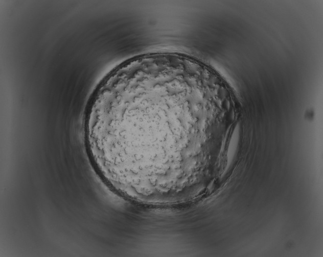 X0000089761468200707121352