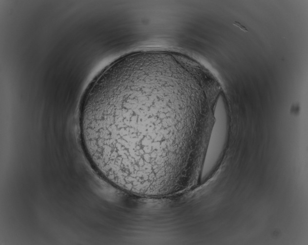 X0000089761469200707121352