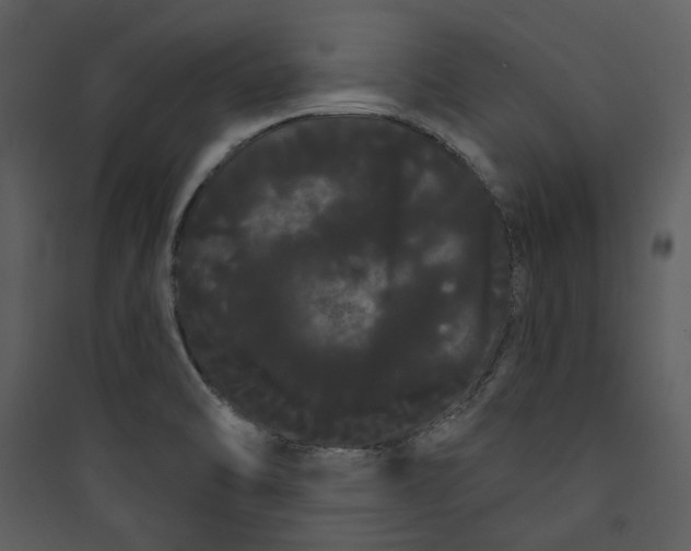 X0000089761470200707121352