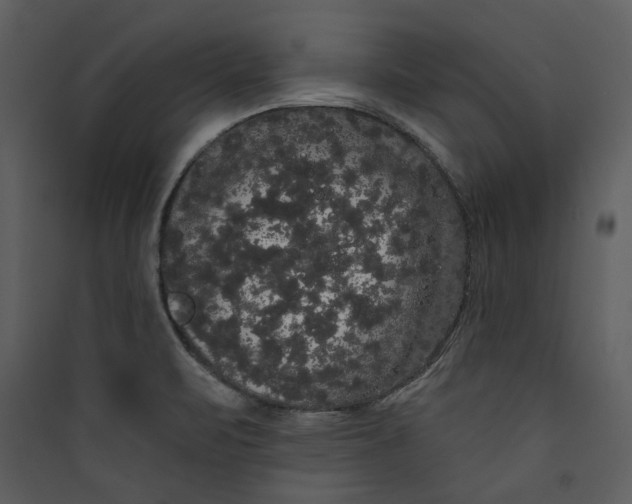 X0000089761471200707121352