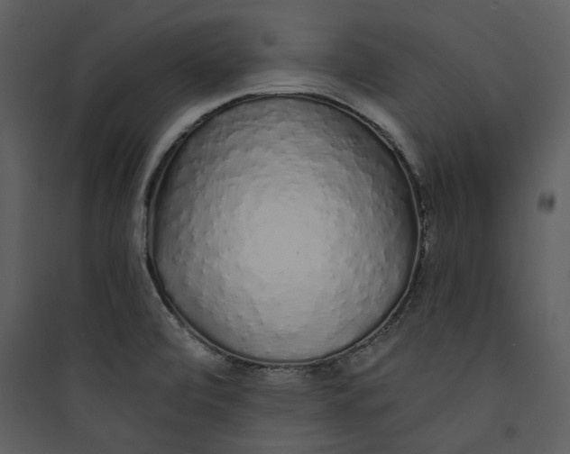 X0000089761472200707121352