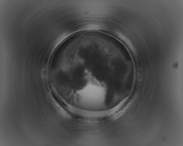 X0000089761473200707121352