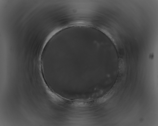 X0000089761474200707121352