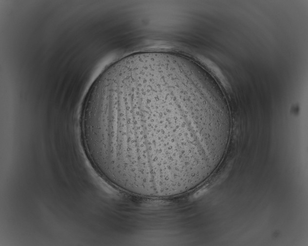 X0000089761475200707121352