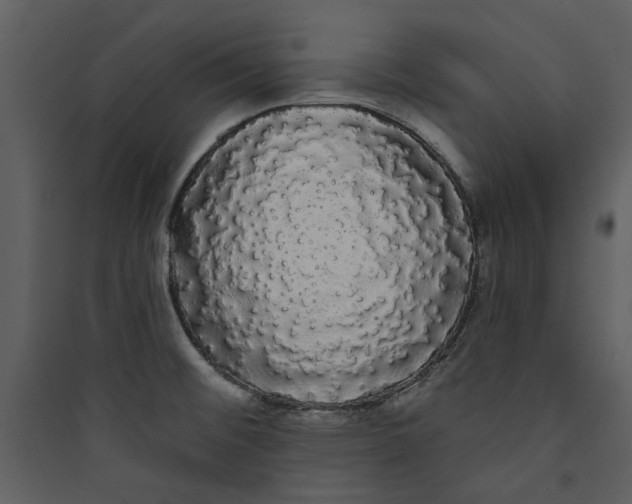 X0000089761476200707121352