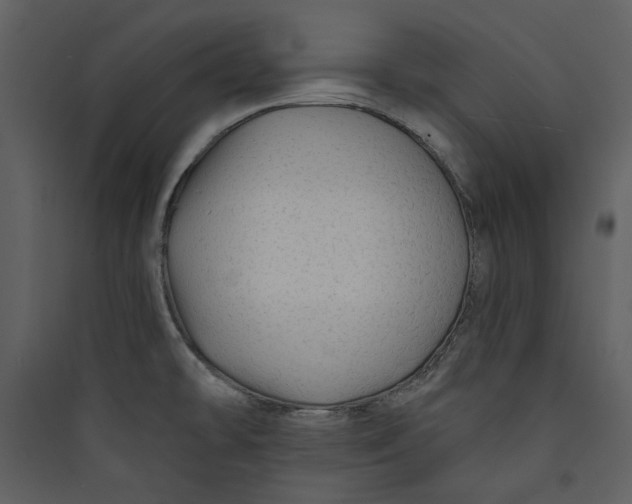 X0000089761478200707121352