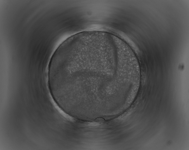 X0000089761479200707121352