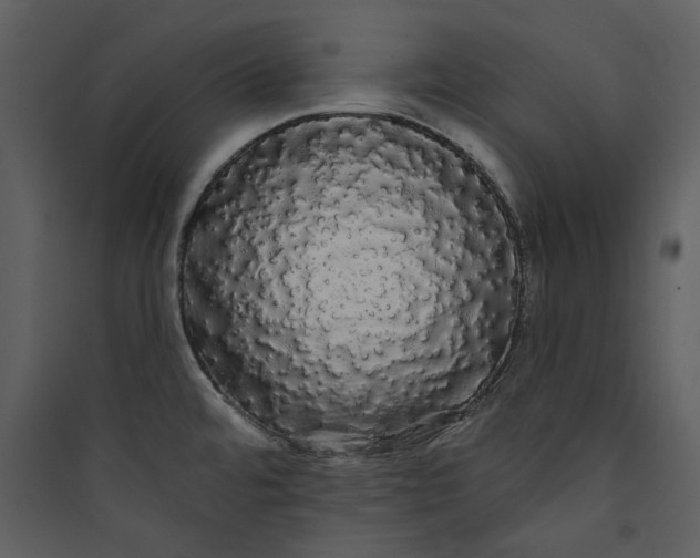 X0000089761480200707121352