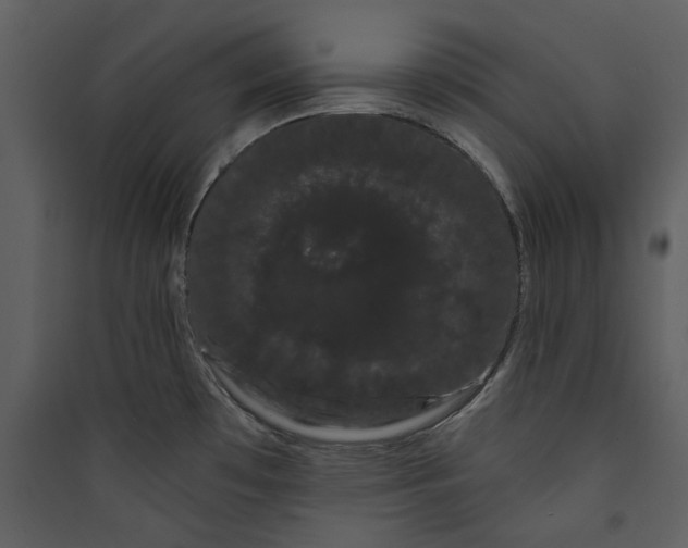 X0000089761481200707121352