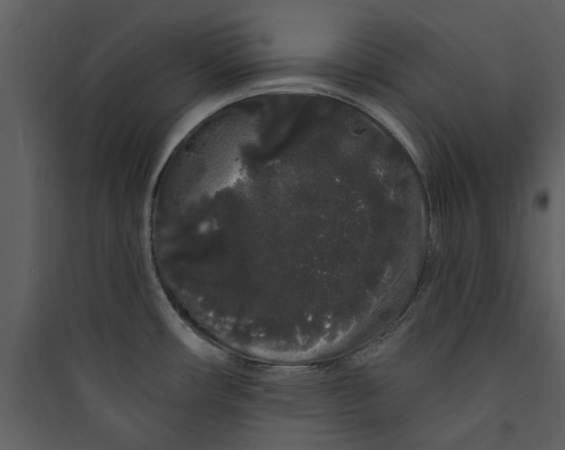 X0000089761482200707121352