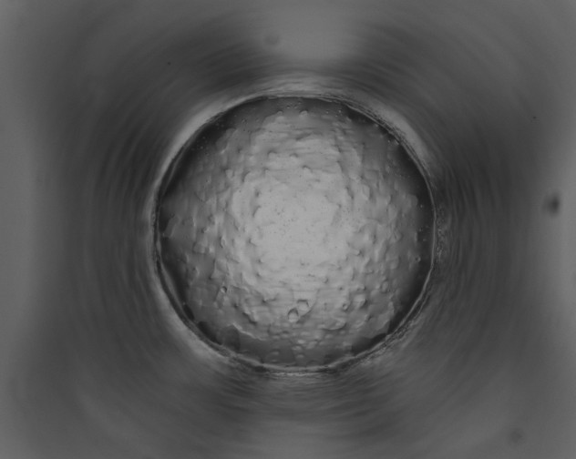 X0000089761483200707121352