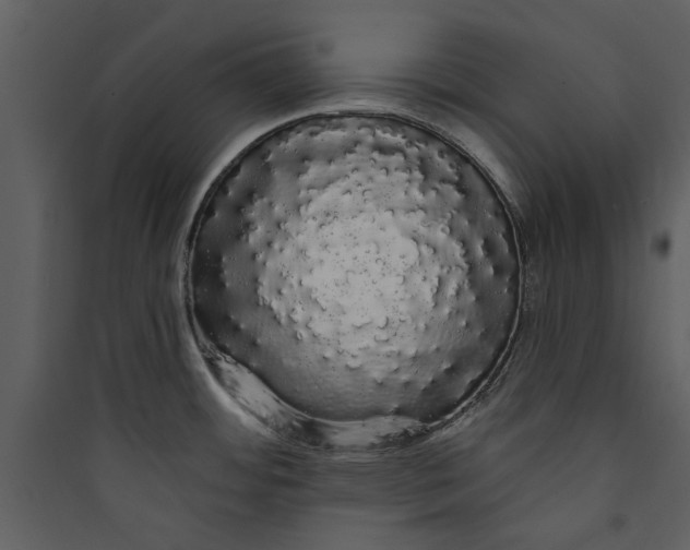 X0000089761484200707121352