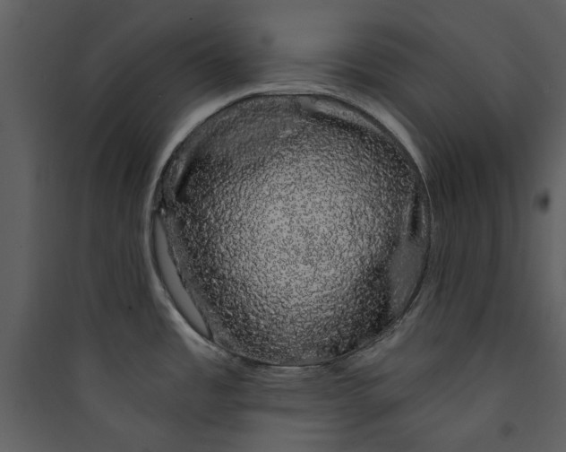 X0000089761485200707121352