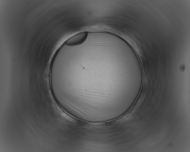 X0000089761486200707121352