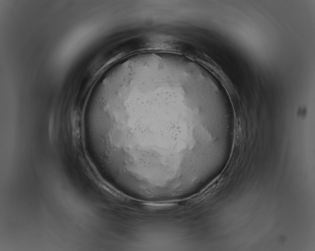 X0000089761487200707121352