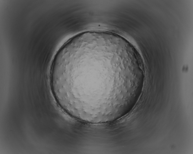 X0000089761488200707121352