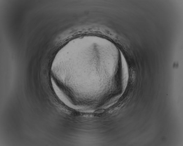 X0000089761489200707121351