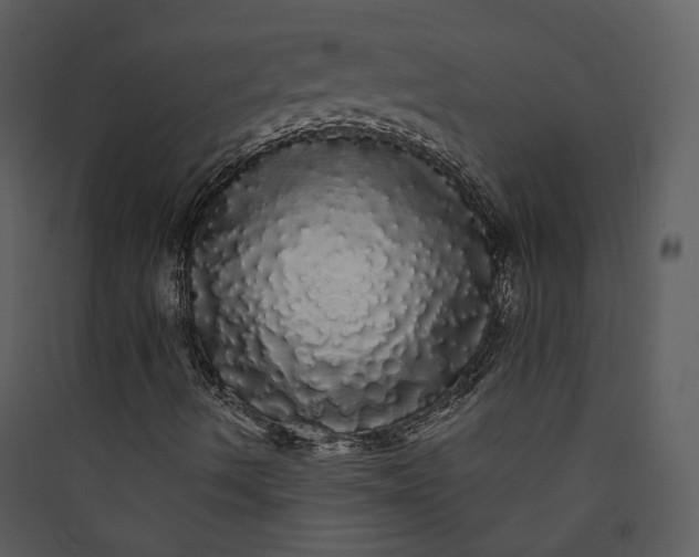 X0000089761490200707121351