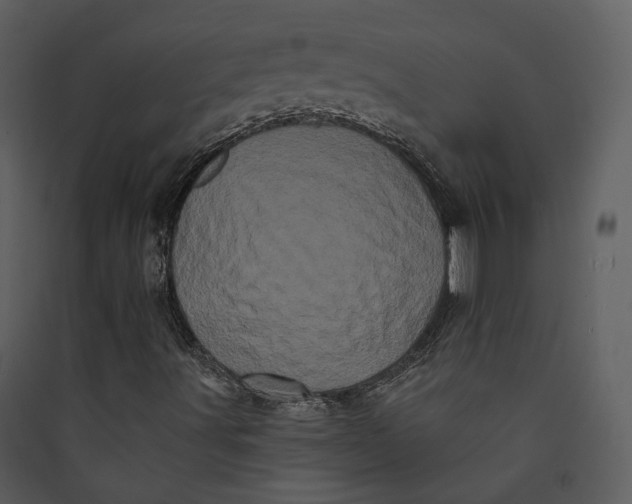 X0000089761491200707121351