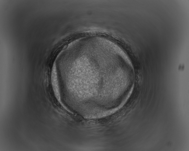 X0000089761493200707121351